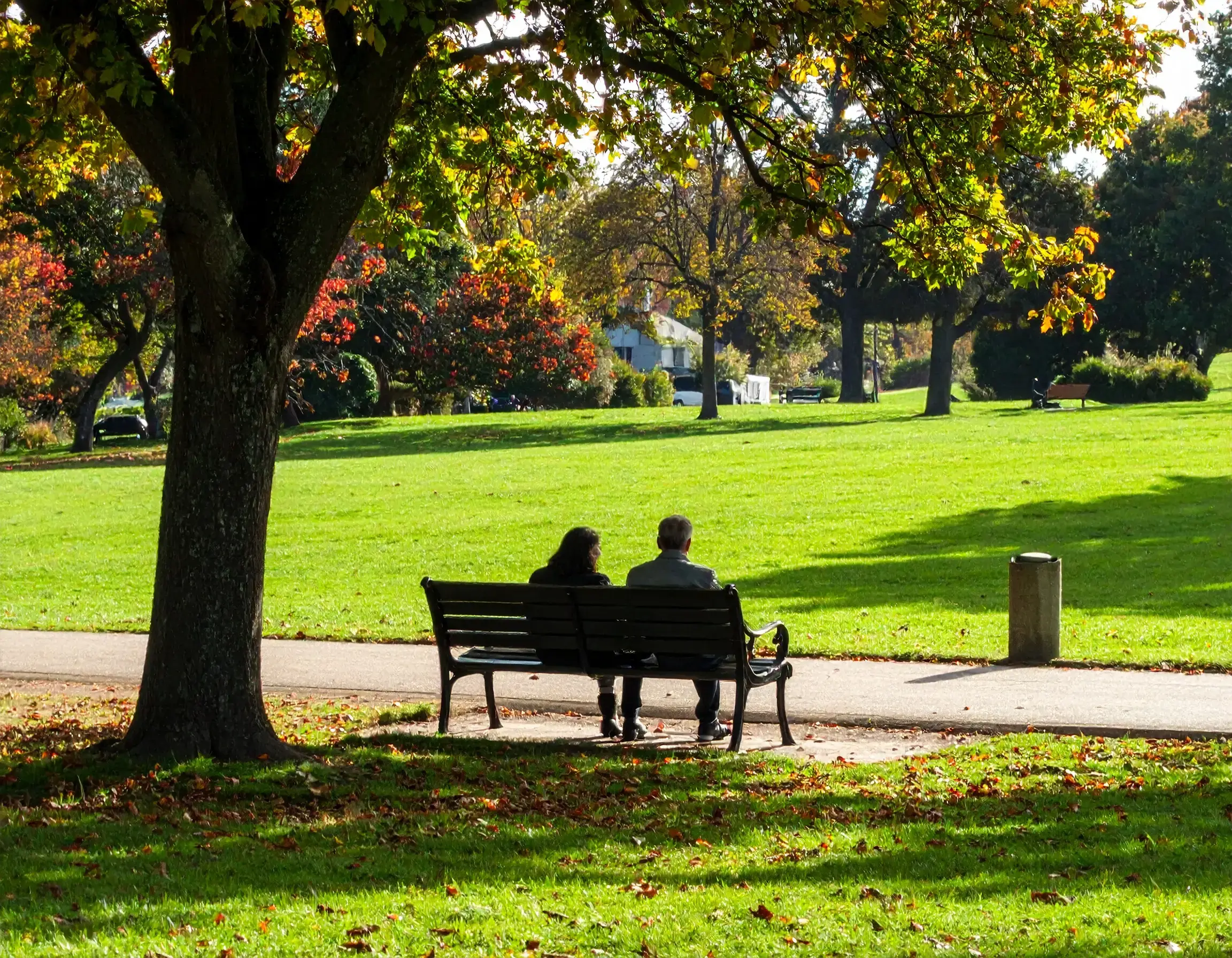 3 1 What Is No-Fault Divorce?