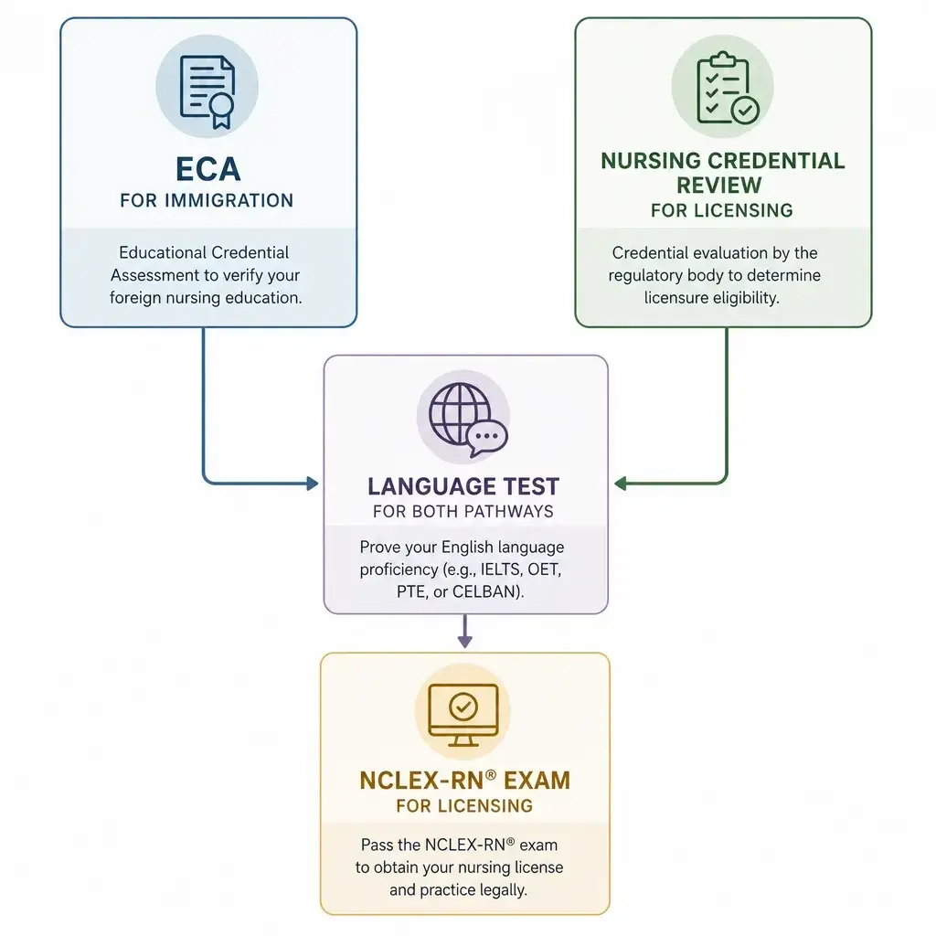 Canadian Immigration for Nurses: PR, Express Entry & Licensing Guide 6 A diagram explaining ECA, nursing credential review, language tests, and NCLEX.